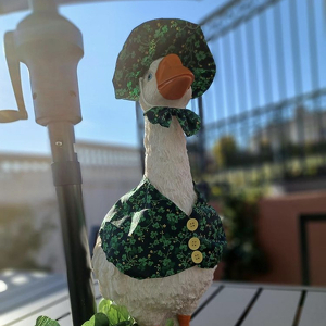 Team Page: Team CASA Staff